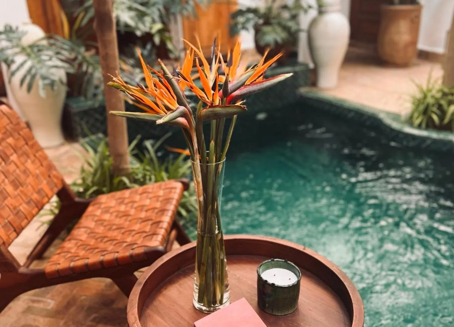 Villa Riad Prive Sadaka Bassin Rooftop Marrakesh Morocco