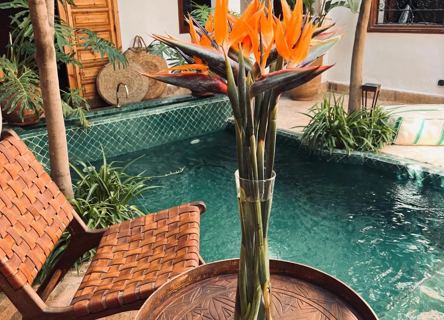Riad Prive Sadaka Bassin Rooftop Marrakesh Villa